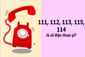 Số điện thoại khẩn cấp ở Việt Nam