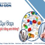 Học Dược có cần giỏi tiếng Anh không